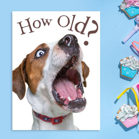 Surprised dog and 'How old' text