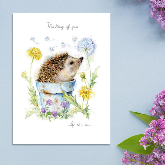 Thinking Of You Card - Hedgehog & Plant Pot