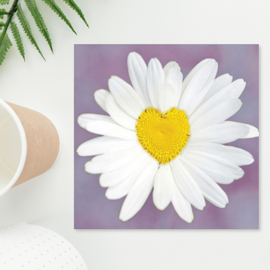 Square card with photo of close up daisy