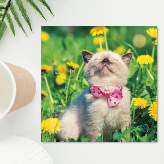 Square card with kitten in pink bow tie among the flowers
