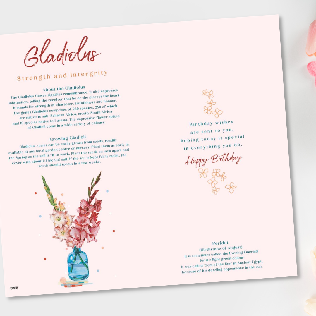 Inside image with information about Gladiolus and coloured illustrations
