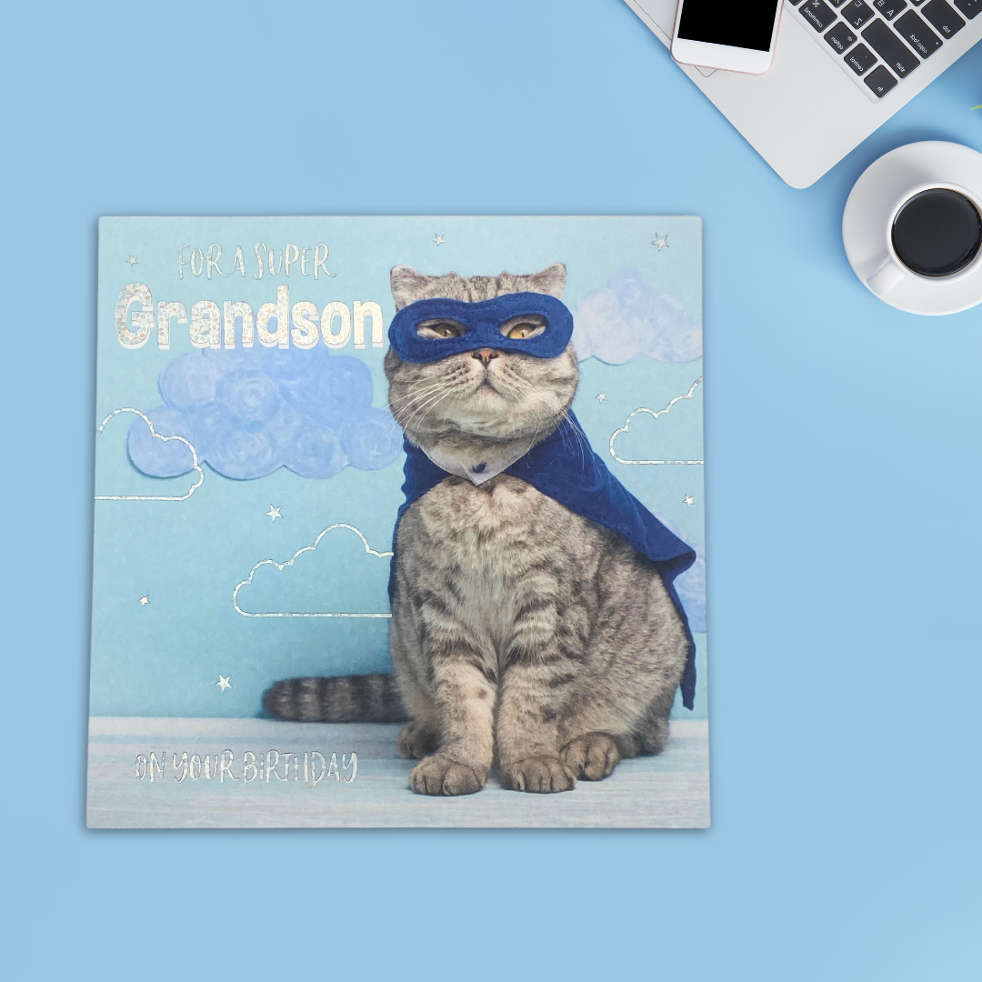 Grandson Birthday Card - Hero Cat In Cape