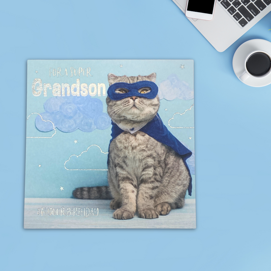 Grandson Birthday Card - Hero Cat In Cape