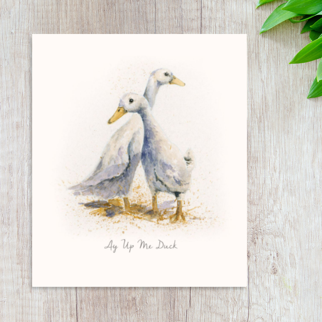 Illustrated image with two ducks titled 'Aye Up Me Duck'