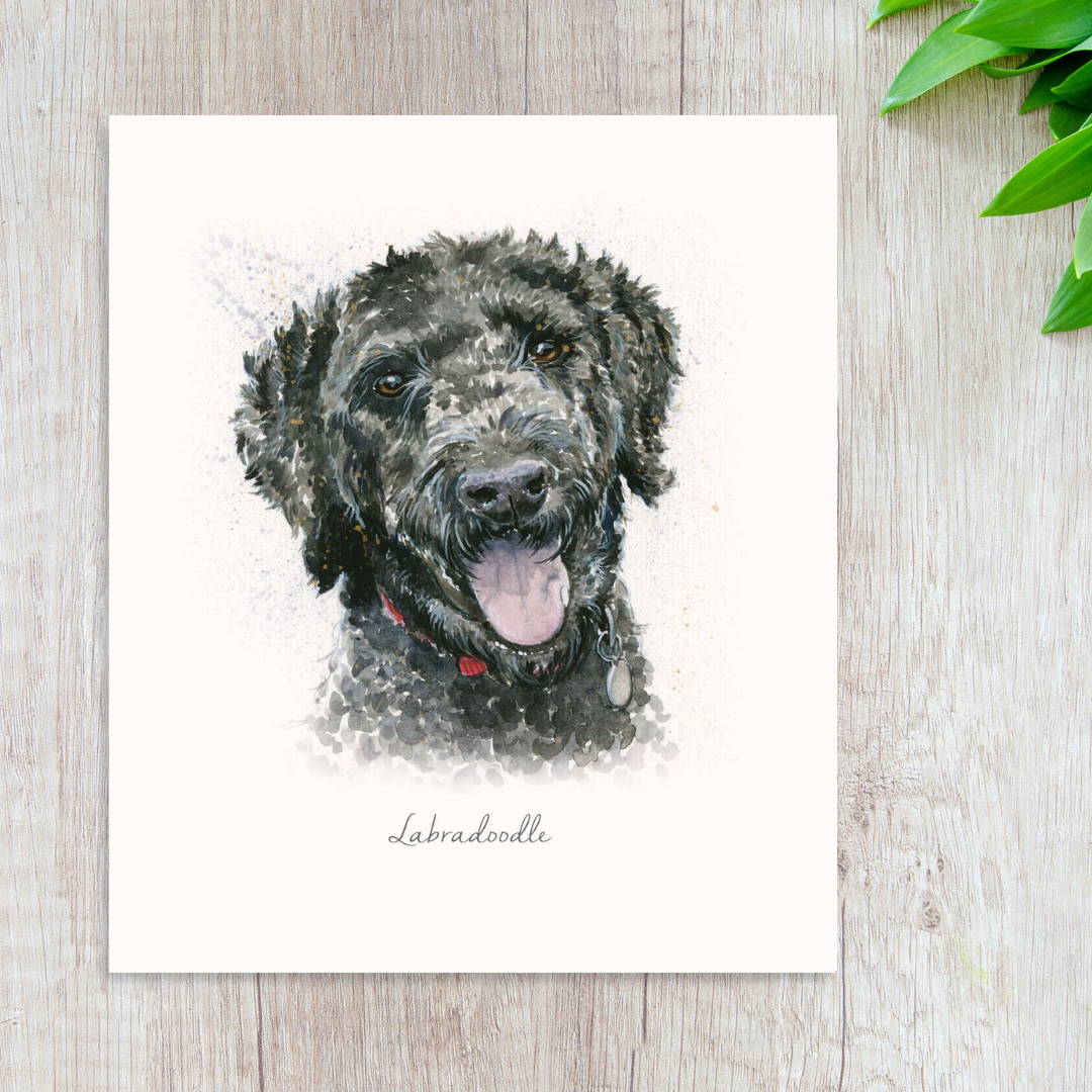 Gorgeous illustrated dog portrait of a black labradoodle