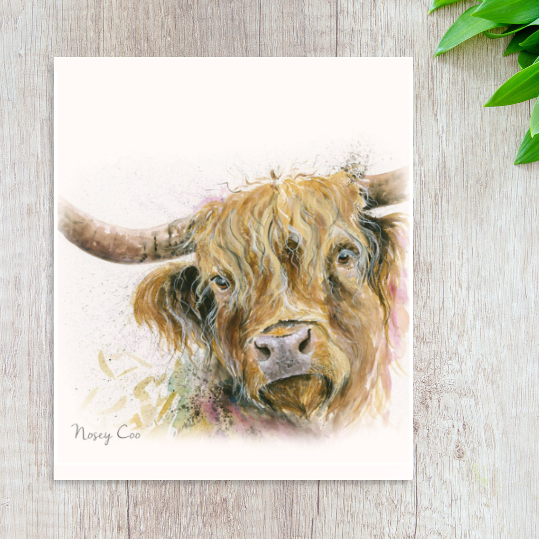 Illustrated highland cow square card titled 'Nosey Coo'