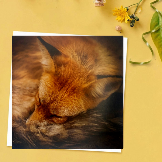 Blank - Beautiful Planet - Cute Red Haired Furry Fox Sleeping