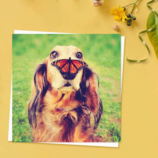 Dog with butterfly on its nose on square card with white envelope