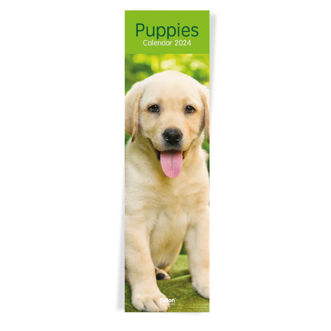 Puppy online hot sale store