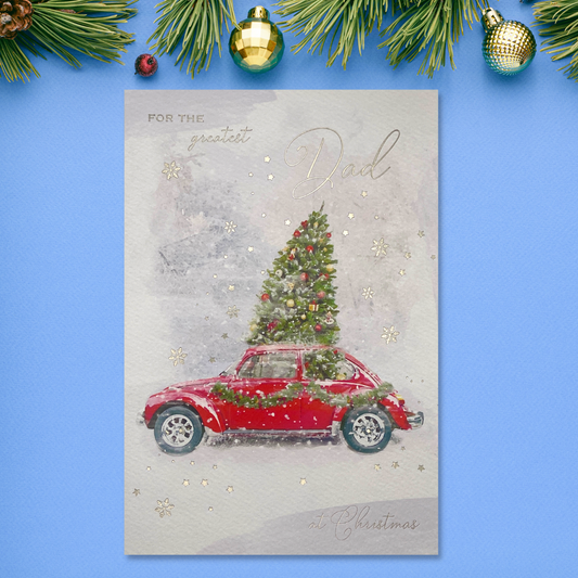 Front image with red car and christmas tree on the roof