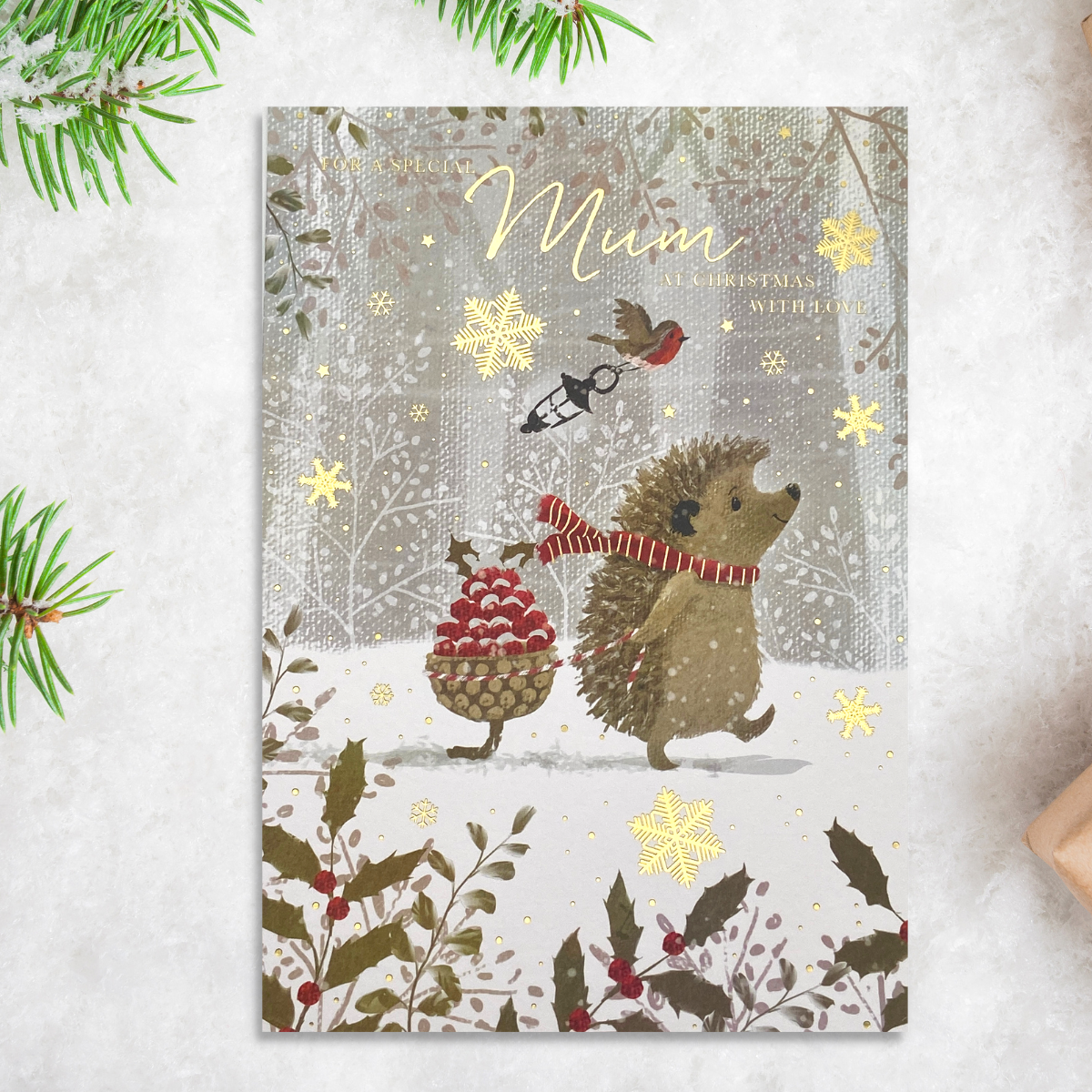 Cute hedgehog and pine cone with robin design