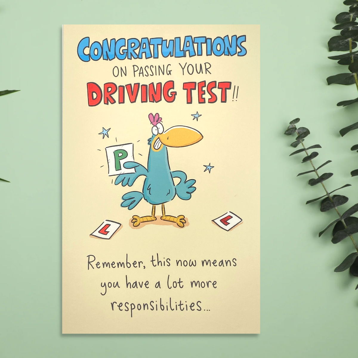 Driving Test Humour Card Displayed In Full