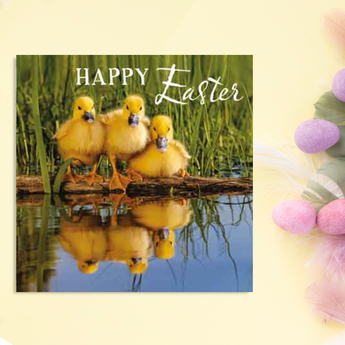 Easter Duckling Trio - Packet Of 4 Cards – The Celebration Store