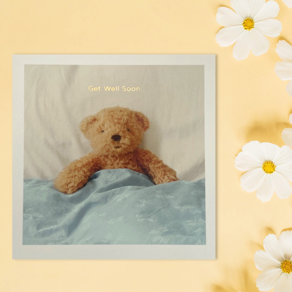 Front image of photographed teddy in bed
