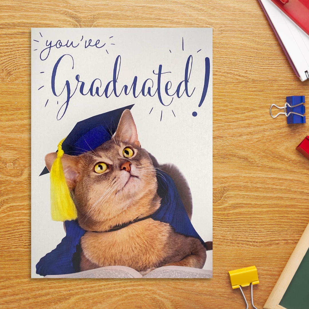 Front image showing Cat in mortar board and graduation gown