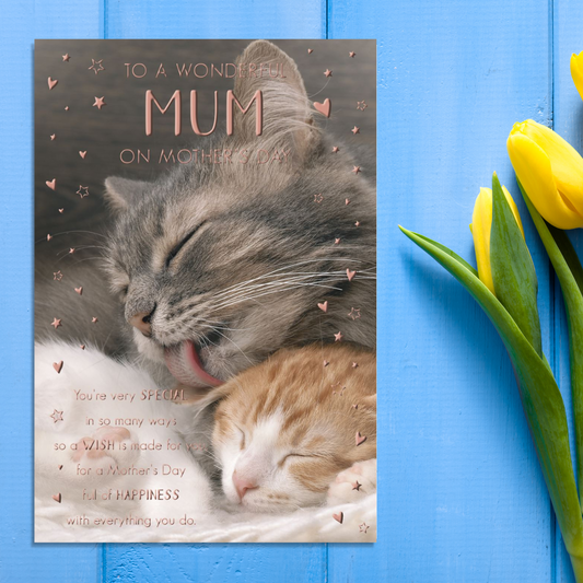 Cat Themed Mother's Day Card Displayed In Full