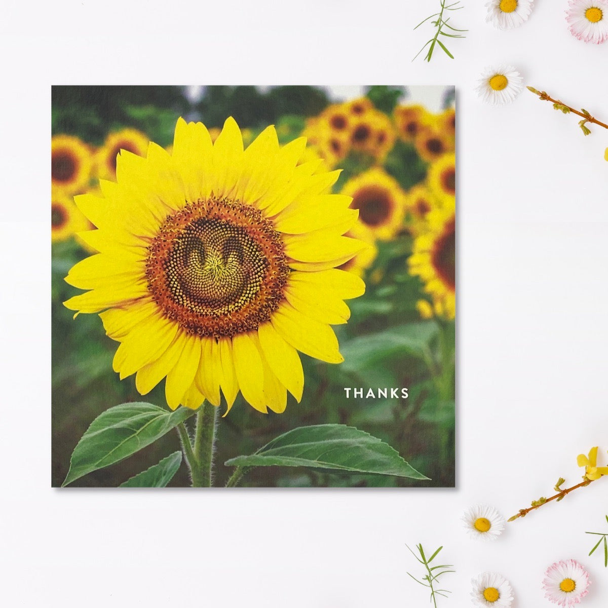 Sunflower Themed Thank You Greeting Card Displayed In Full