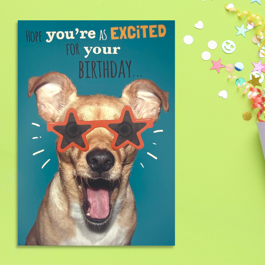 Teal colour card with dog wearing bright orange star glasses