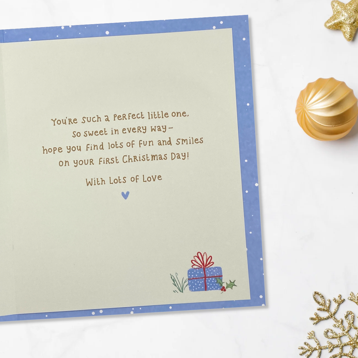 Inside image with blue snowy border and printed insert