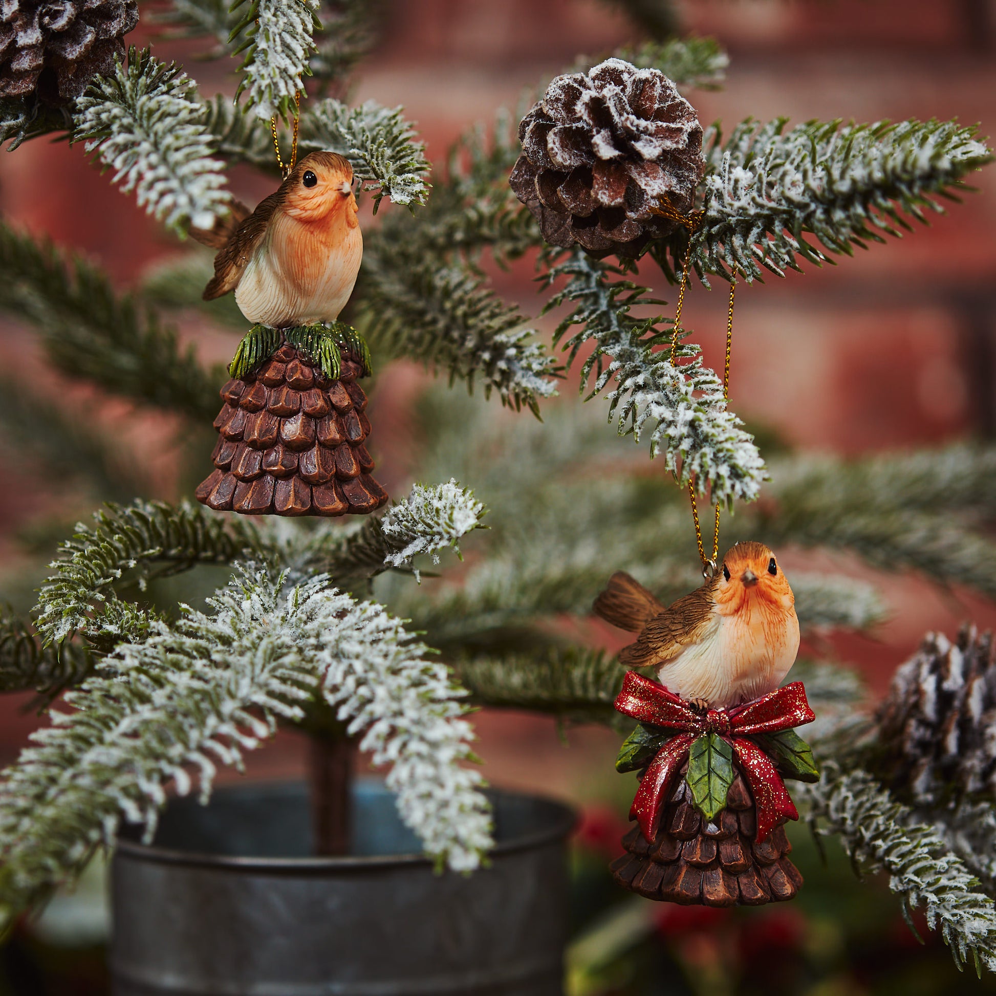 Robin On Bell Hanger