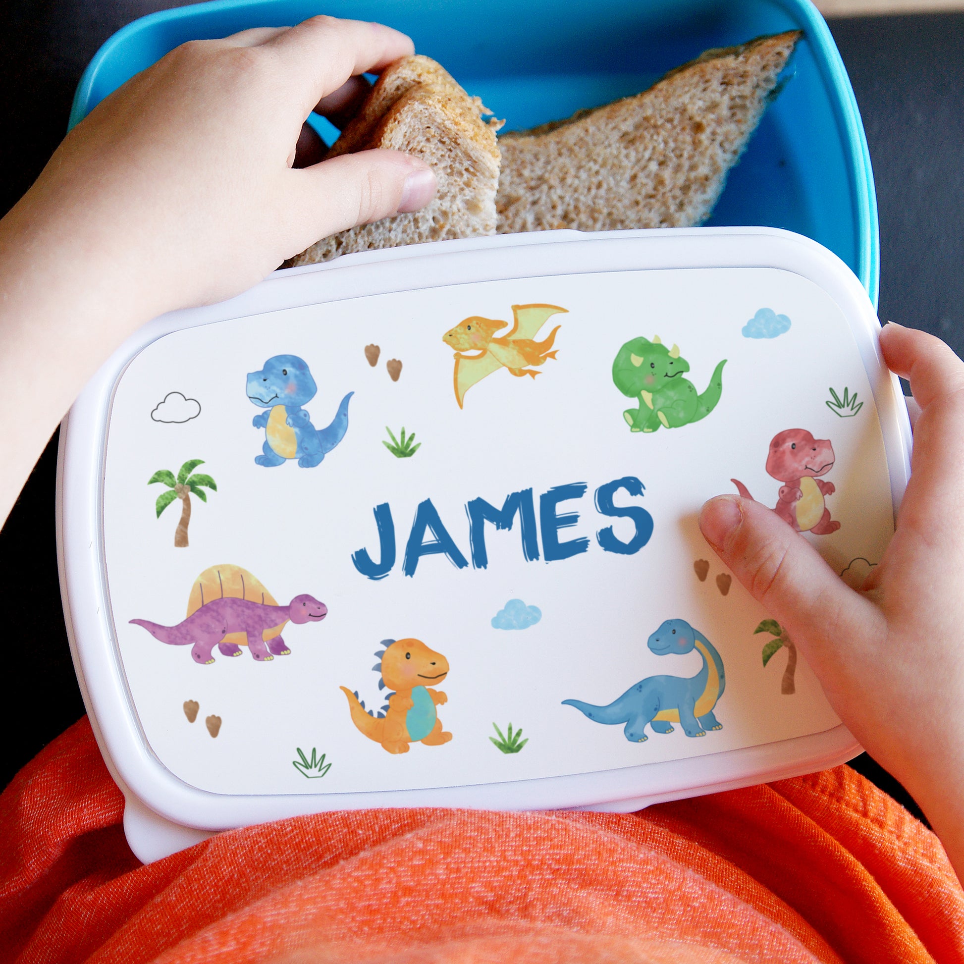 Lunch box with dinosaur designs and 'JAMES' printed on it, held by a child.