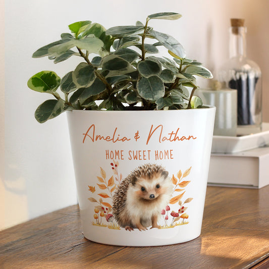 Potted plant in a personalised decorative pot with a hedgehog design and text on a wooden surface.