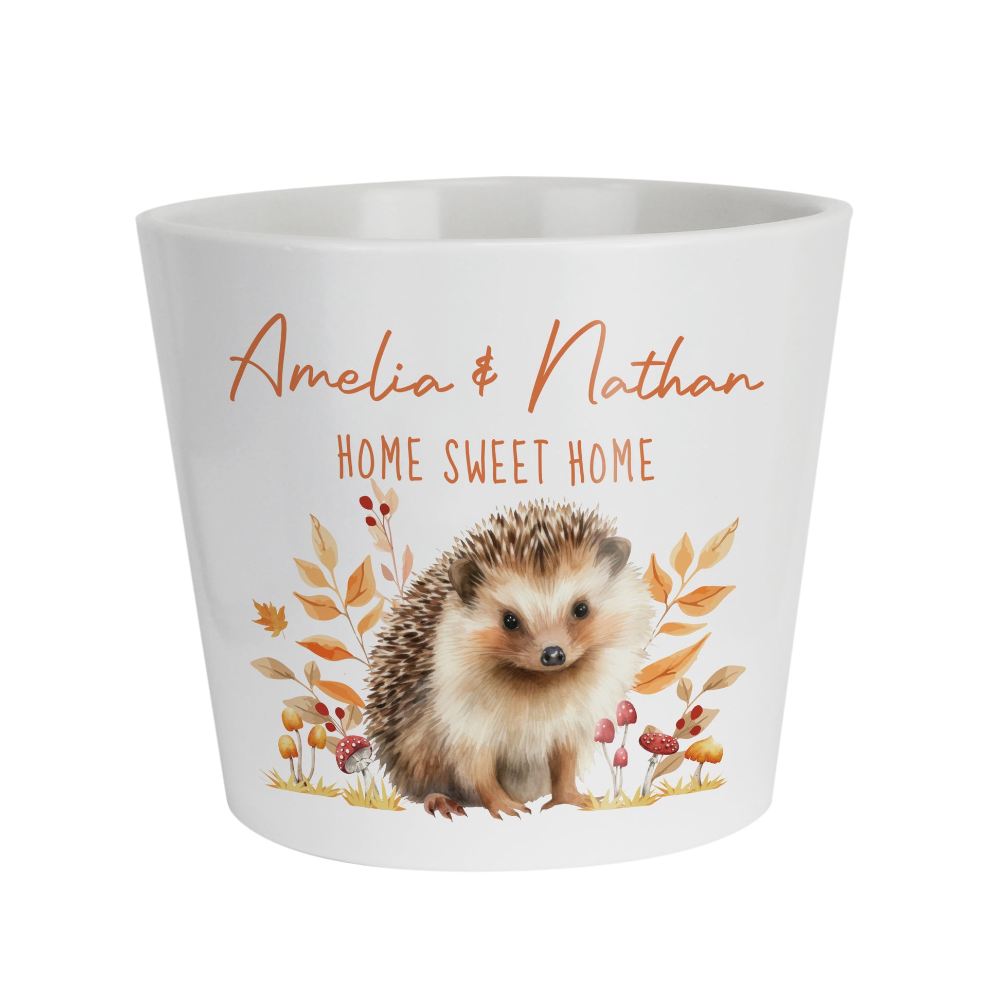 White mug with hedgehog illustration and text 'Amelia & Nathan Home Sweet Home' on a white background