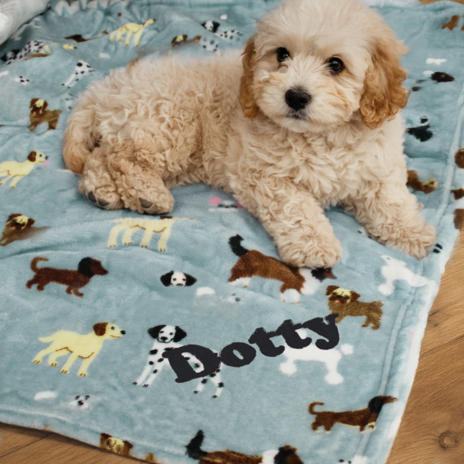 Puppy lying on a blanket with dog illustrations and the name 'Dotty'.