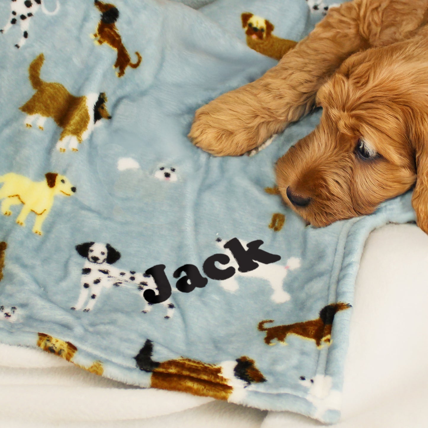 Ginger dog lying on a grey blanket with pet images and the name JACK.
