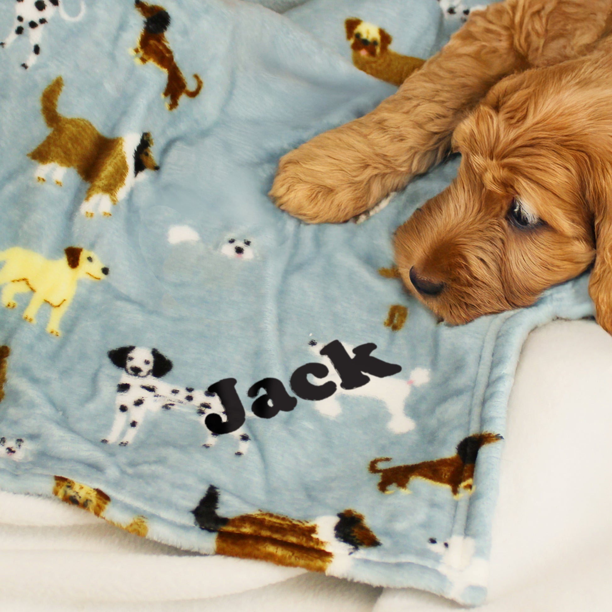 Ginger dog lying on a grey blanket with pet images and the name JACK.