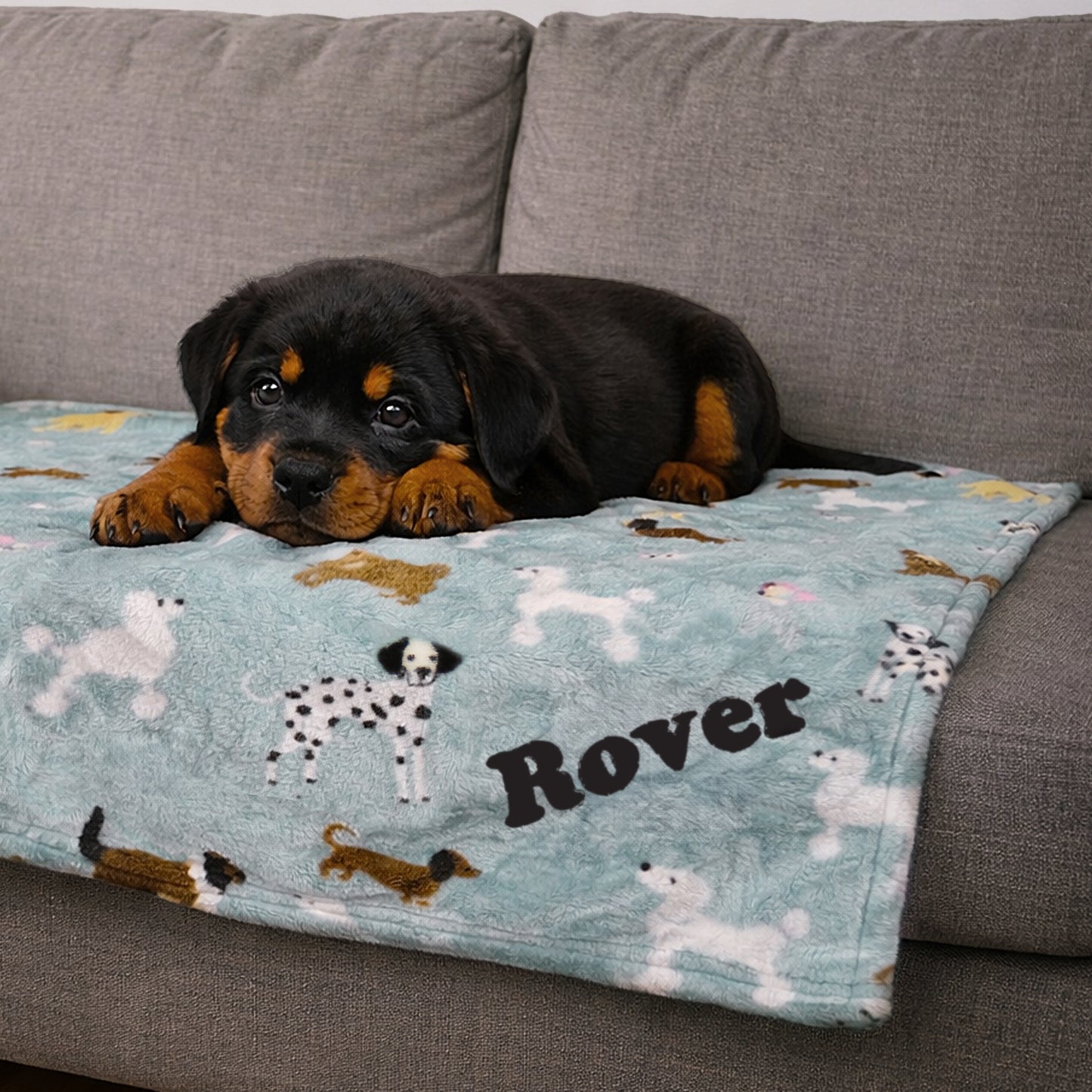 Puppy lying on a blanket with dog patterns and 'Rover' printed on it, on a grey couch.