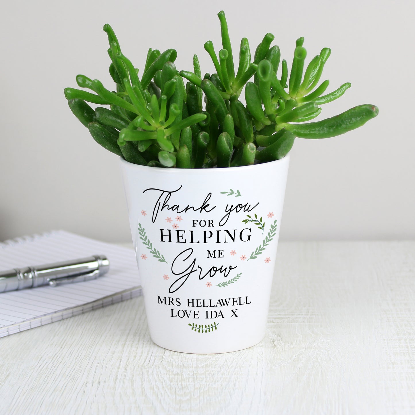 Potted succulent plant in a white pot with personalised text on a light surface.