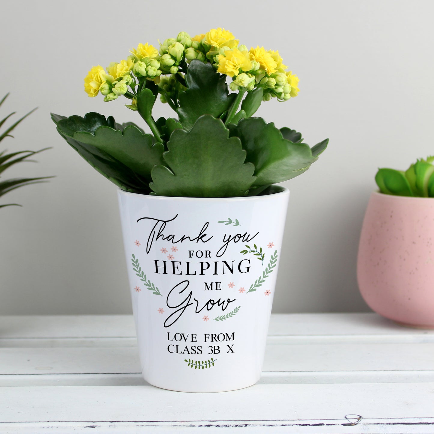 Potted plant in a white pot with a message on a wooden surface