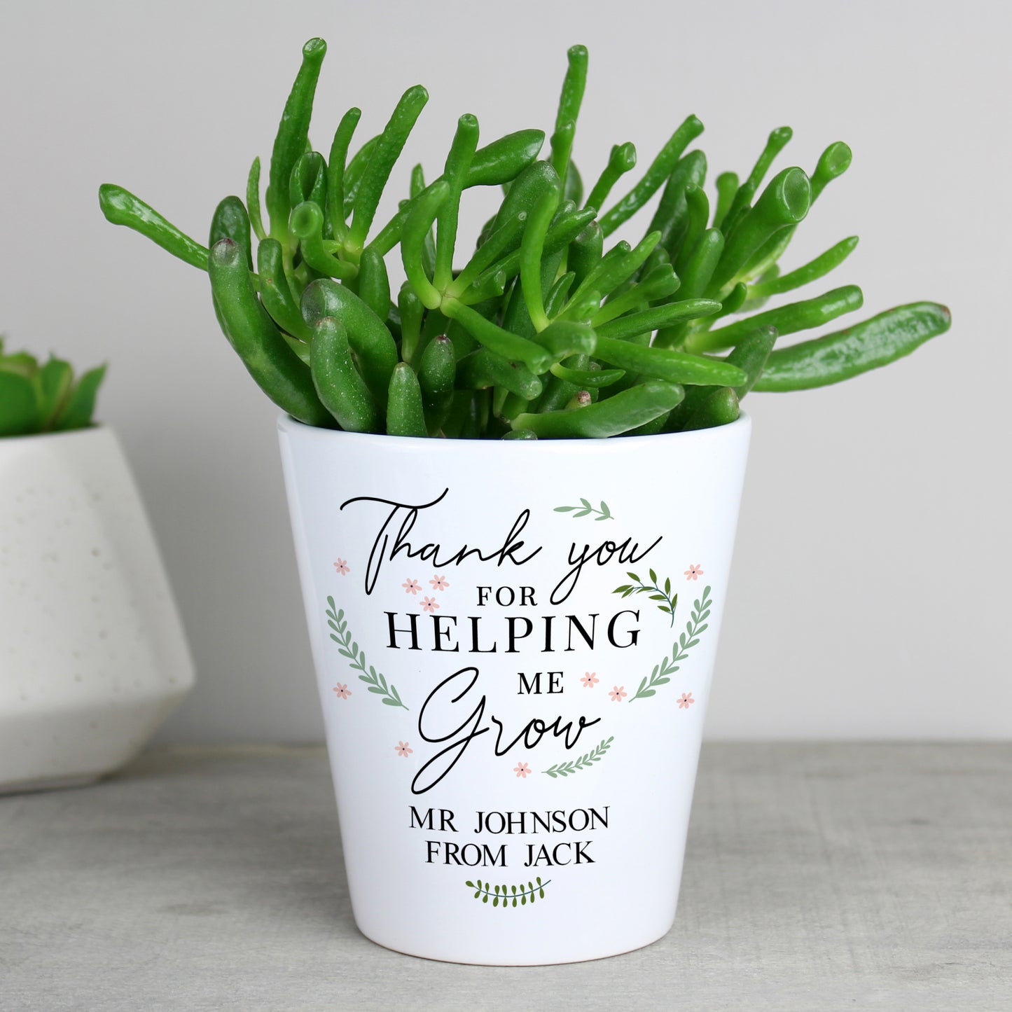 Potted plant with a personalised message on a white background
