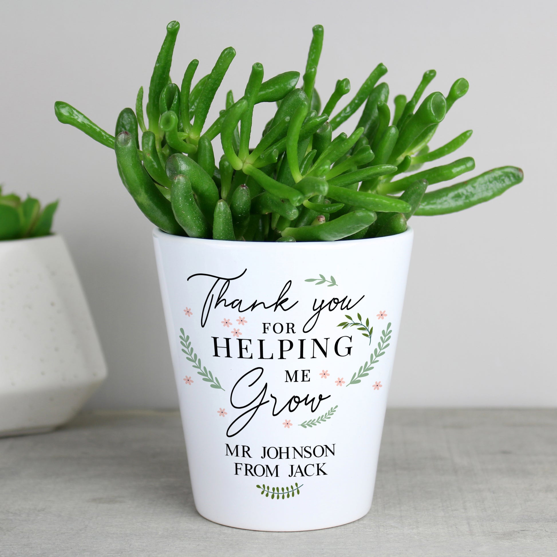Potted plant with a personalised message on a white background