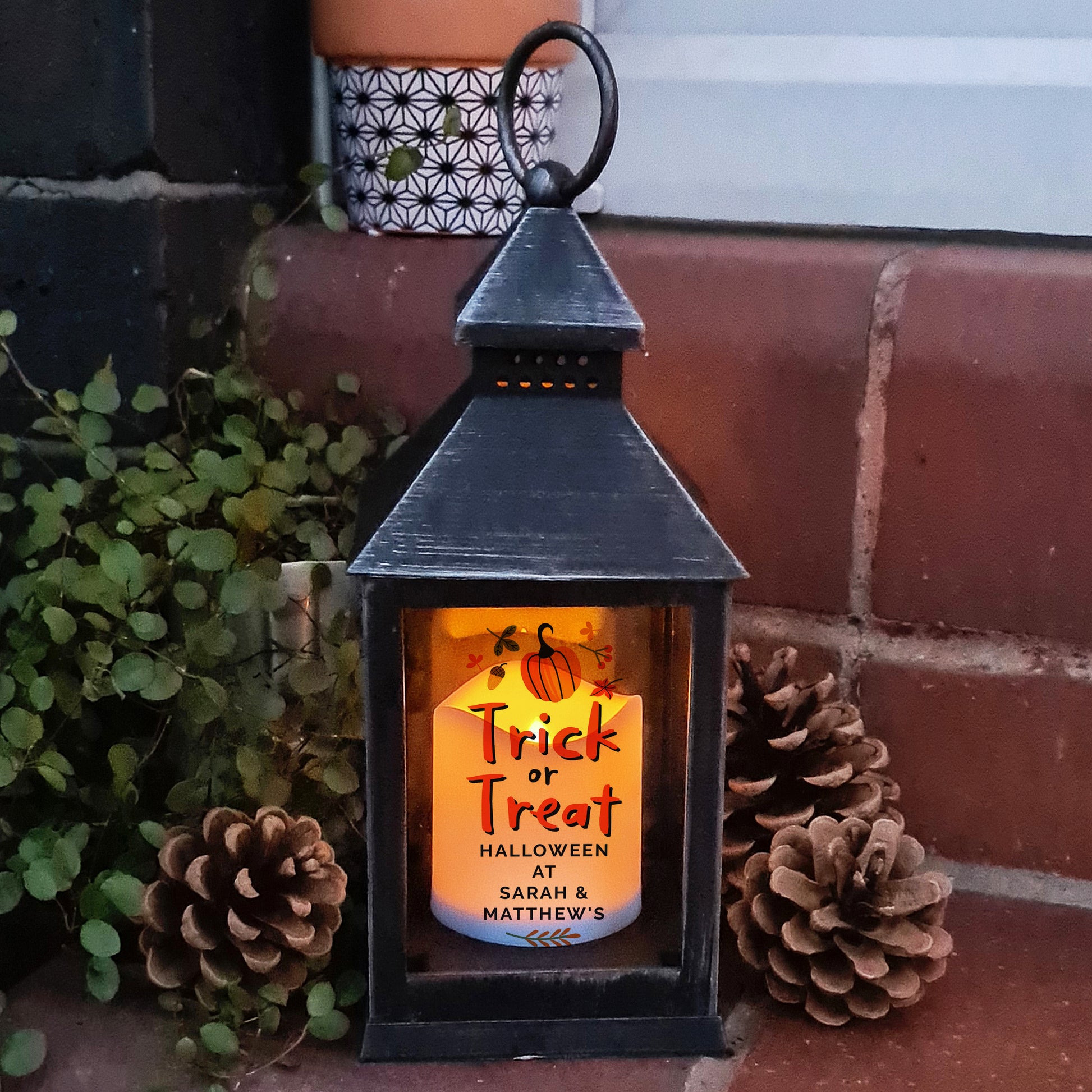 Decorative lantern with 'Trick or Treat' message on a brick surface with pinecones and plants.