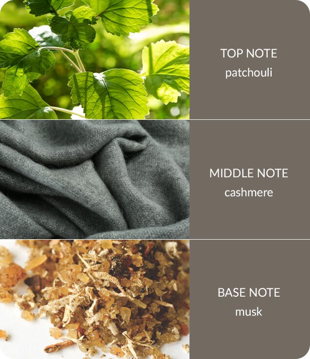 Image Showing Cashmere Fragrance Notes