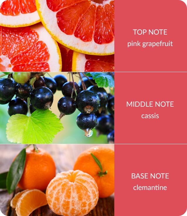 Image Showing Grapefruit And Cassis Fragrance Notes