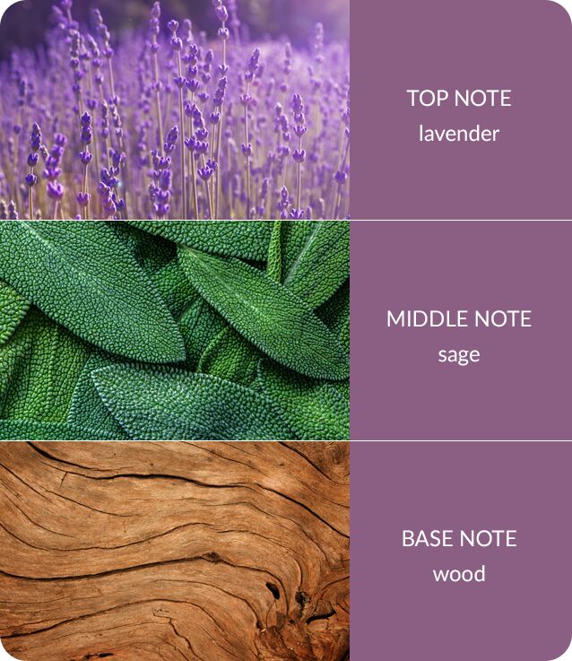 Image Showing Lavender & Sage Reed Diffuser Fragrance Notes Sheet