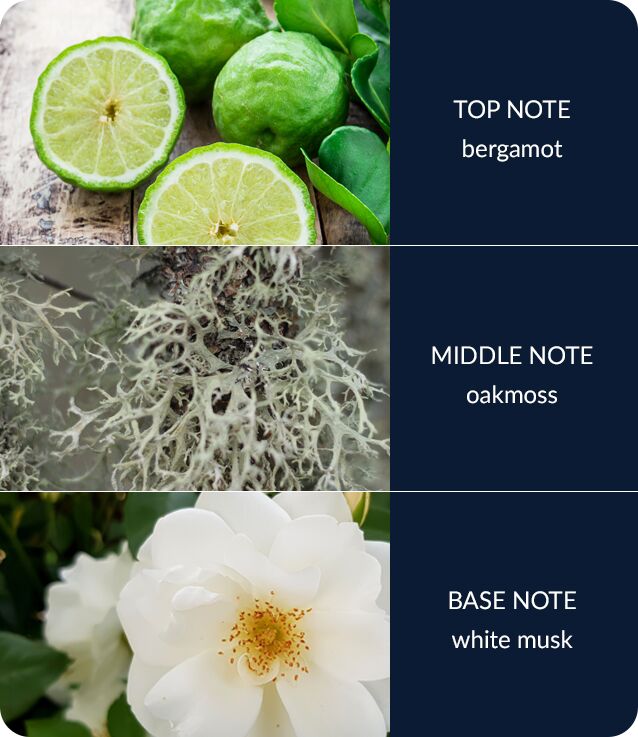 Image Showing River Rocks Fragrance Notes