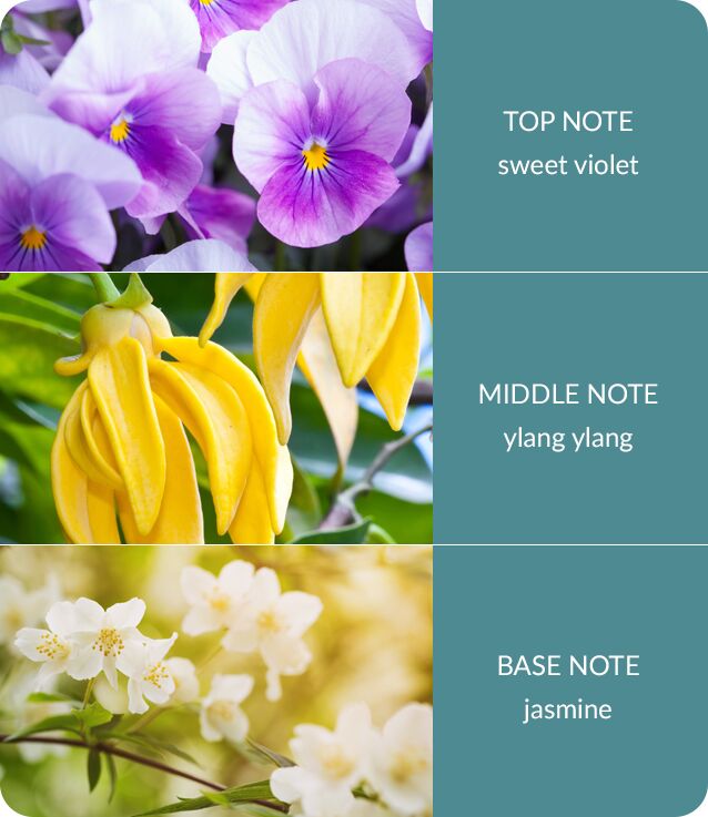 Image Showing Simply Spa Fragrance Notes