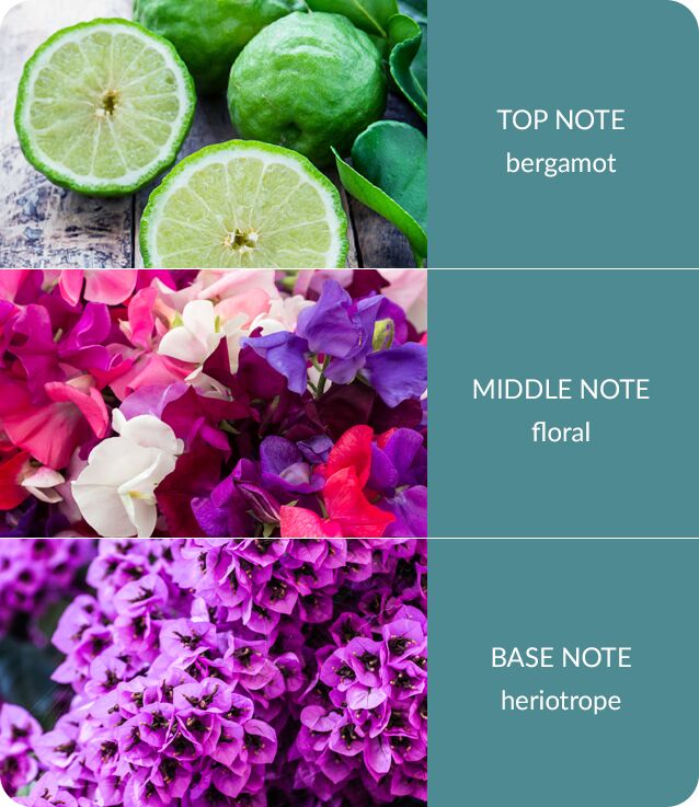 Image Showing Sweet Pea Fragrance Notes Sheet