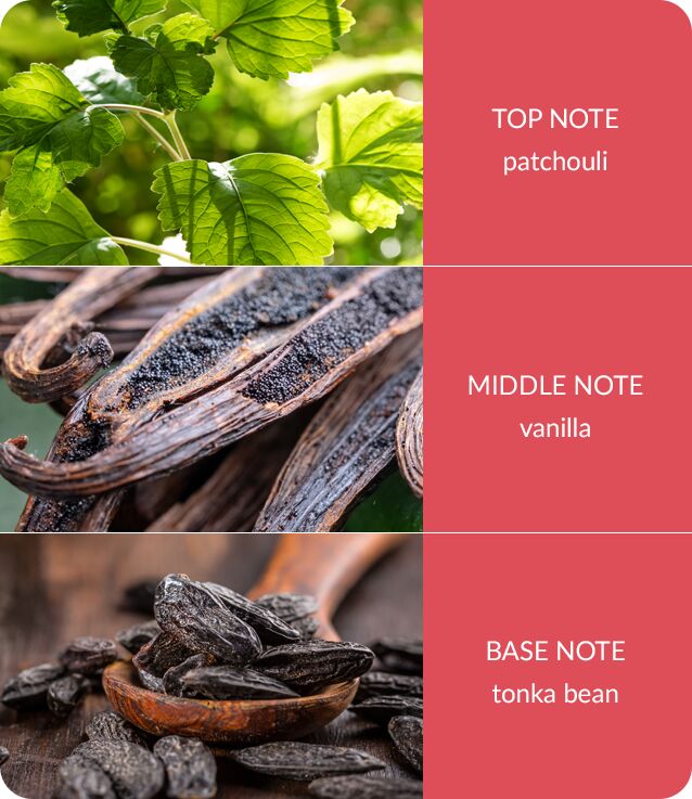 Image Showing True Enchantment Fragrance Notes