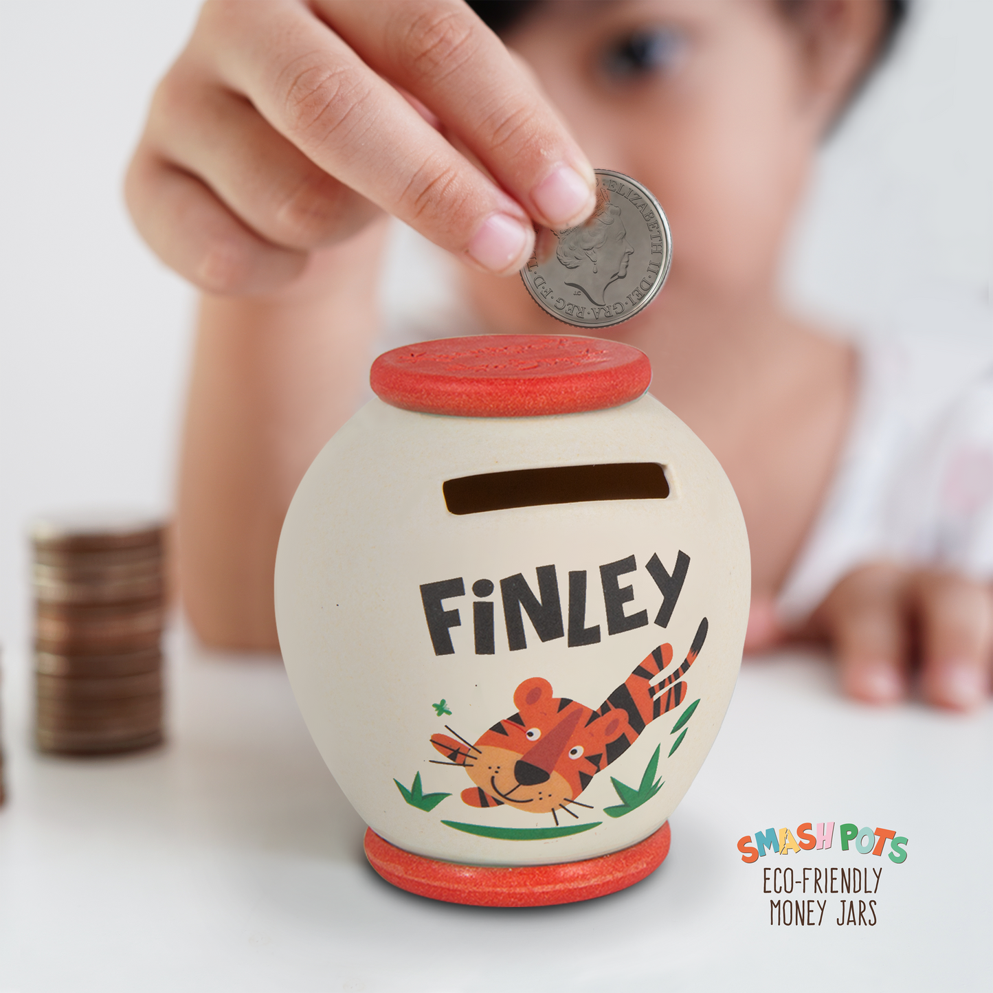 Finley single use Smash Pot with colourful image. Pot can be composted after use.