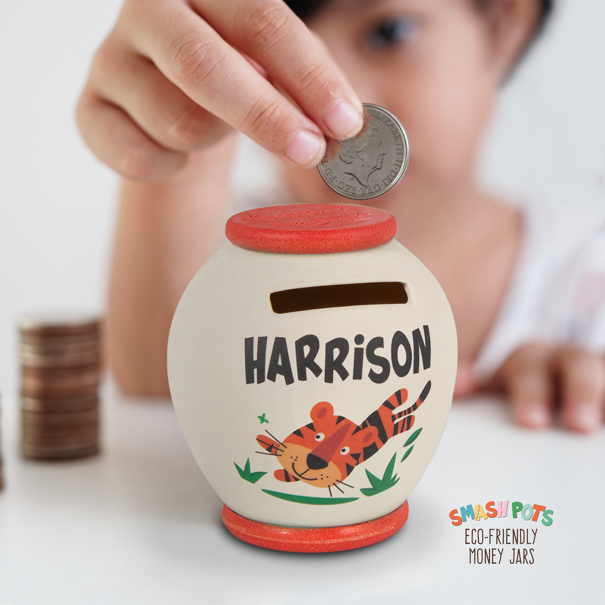 Harrison single use Smash Pot with colourful image. Pot can be composted after use.