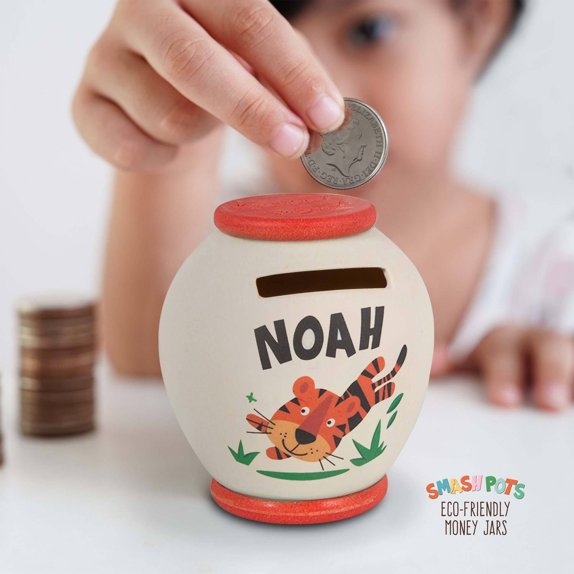 Noah single use Smash Pot with colourful image. Pot can be composted after use.