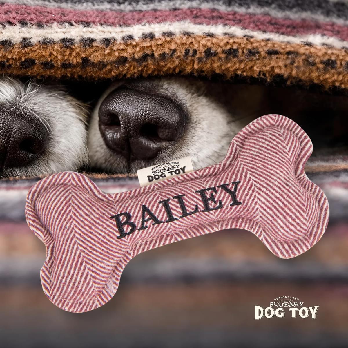 Named Squeaky Dog Toy- Bailey. Bone shaped herringbone tweed pattern dog toy. 