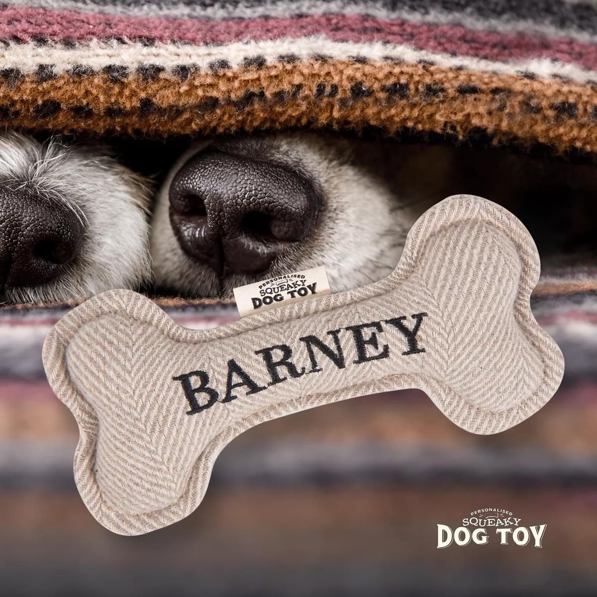 Named Squeaky Dog Toy- Barney. Bone shaped herringbone tweed pattern dog toy. 
