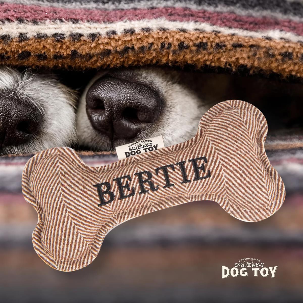 Named Squeaky Dog Toy- Bertie. Bone shaped herringbone tweed pattern dog toy. 