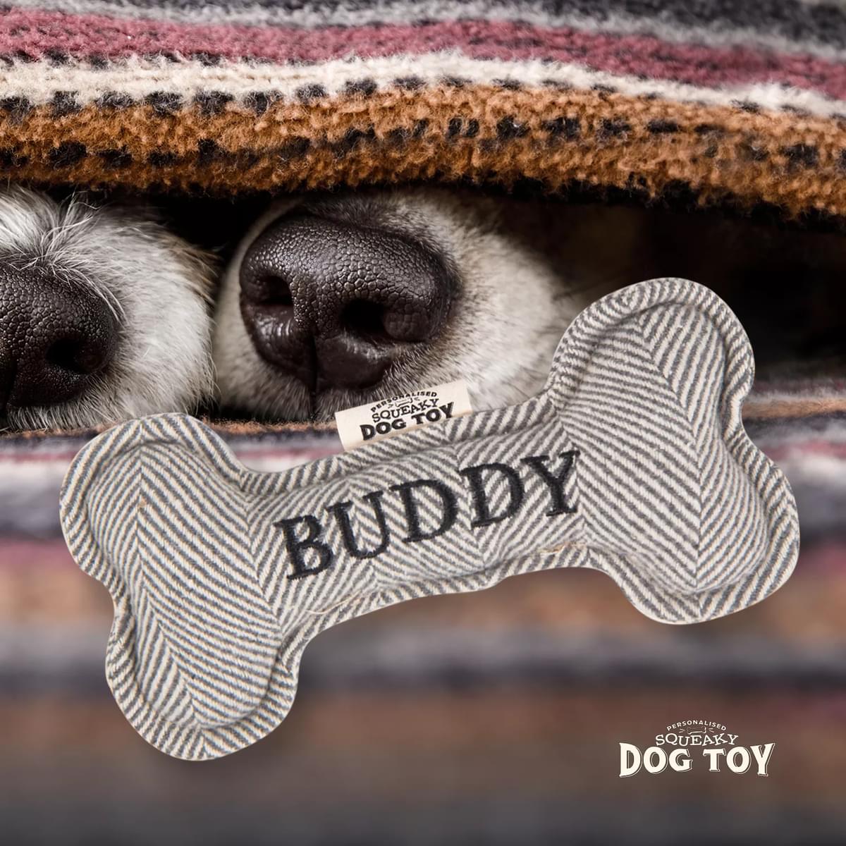 Named Squeaky Dog Toy- Buddy. Bone shaped herringbone tweed pattern dog toy. 